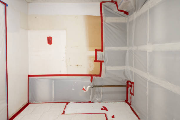 Best Mold Damage Restoration  in Maquoketa, IA